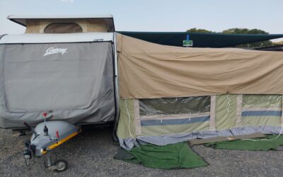 2010 Gypsey Regal